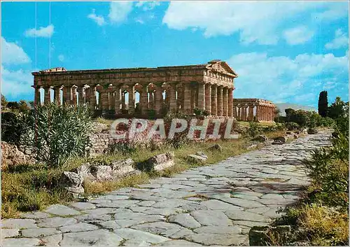 Moderne Karte Costa del Cilento Paestum Temple de Neptune et Voie Sacree