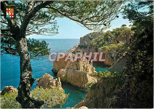 Cartes postales moderne San Feliu de Guixols Costa Brava Cap de Mort small bay