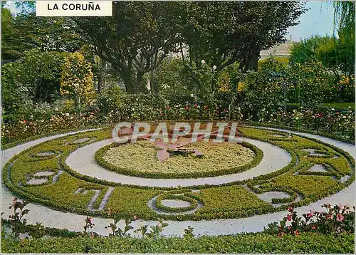 Cartes postales moderne La Coruna Horloge Floral