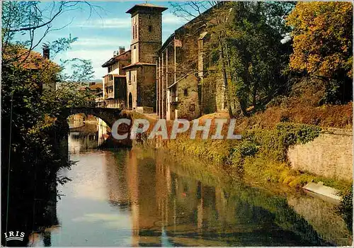 Cartes postales moderne Saint Jean Pied de Port La Nive Le Pont d'Espagne et l'Eglise