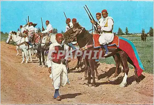 Cartes postales moderne Kairouan Cavaliers Zlass