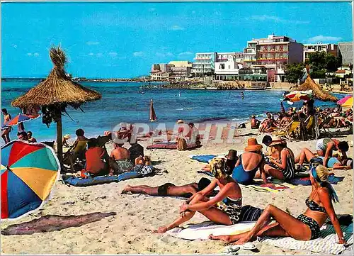 Cartes postales moderne Mallorca Baleares Espana Palma