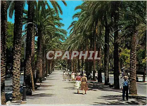 Cartes postales moderne Mallorca Baleares Espana Palma Paseo de Sagrera