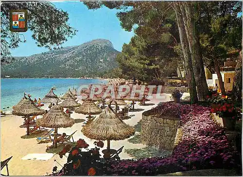 Cartes postales moderne Mallorca Formentor Detail de la Plage