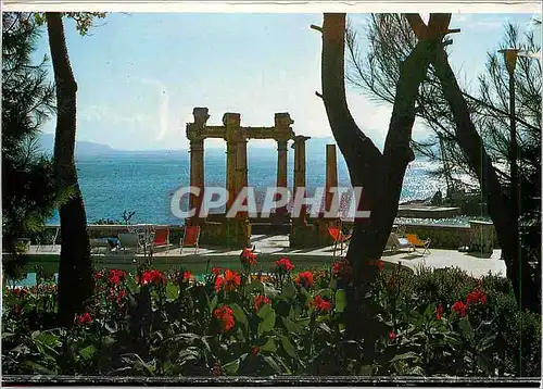 Cartes postales moderne Palermo Villa Igiea