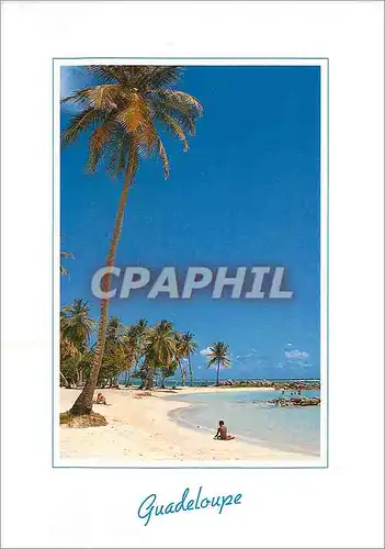 Cartes postales Guadeloupe Antilles francaises Sainte Anne place du bourg