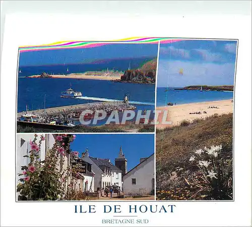 Ansichtskarte AK Ile de Houat Bretagne Sud