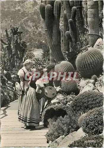 Cartes postales Monaco Plantes exotiques et Costumes Monegasques