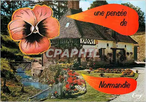 Cartes postales Une pensee de Normandie