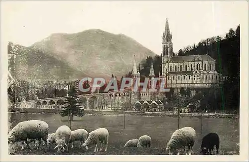 Cartes postales Lourdes La Basilique et le Pic du Jer