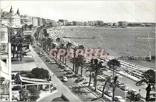 Cartes postales Cannes Le Boulevard de la Croisette avec le Cariton le Miramar le Martinez et les Nouveaux immeu