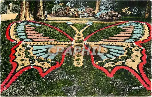 Cartes postales Rouen Seine Maritime Le Papillon