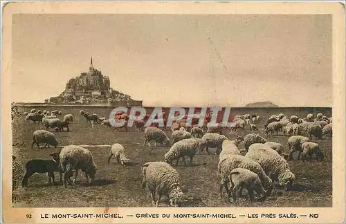 Cartes postales Le Mont Saint Michel Greves du Mont Saint Michel Les Pres Sales Moutons