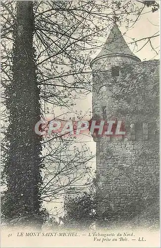 Cartes postales Le Mont Saint Michel L'Echauguelle du Nord Vue prise du Bois