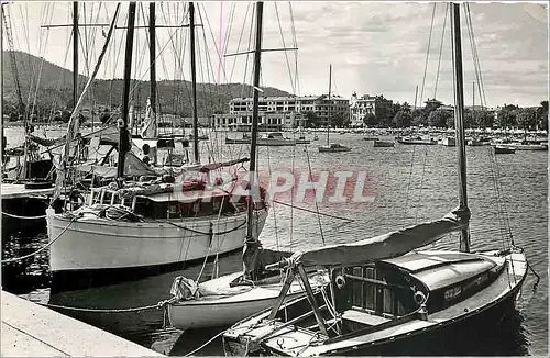 Cartes postales moderne Sainte Maxime Vue sur le port Bateaux