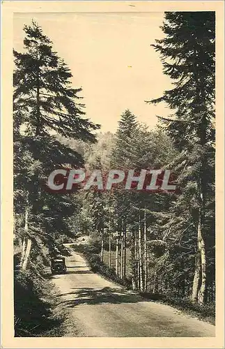 Cartes postales La Louvesc Ardeche Sous bois Route d'Annonay