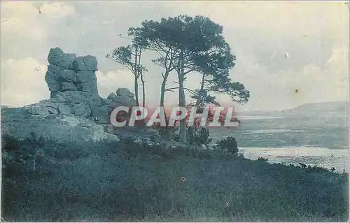 Cartes postales Bretagne Paysage breton La Lande la Grere