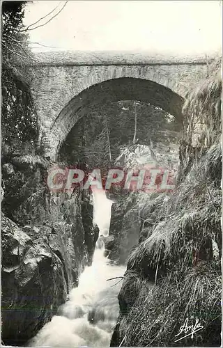 Ansichtskarte AK Les Pyrenees Le Pont d'Espagne et son Torrent