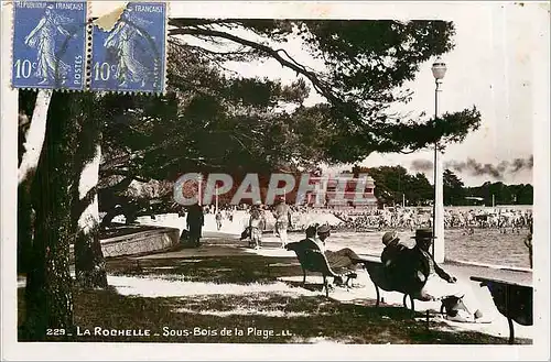 Cartes postales La Rochelle Sous Bois de la Plage