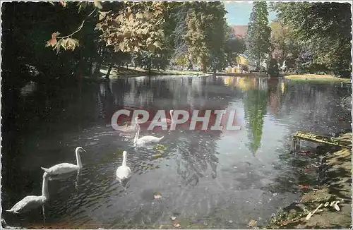 Cartes postales Toute La France Luchon