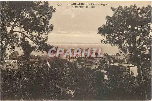 Cartes postales Arcachon Cote d'Argent A travers les Pins