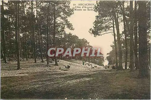 Cartes postales Arcachon Cote d'Argent Route en foret