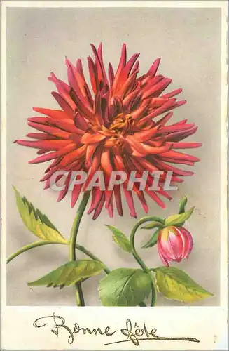 Cartes postales Bonne Fete Fleurs