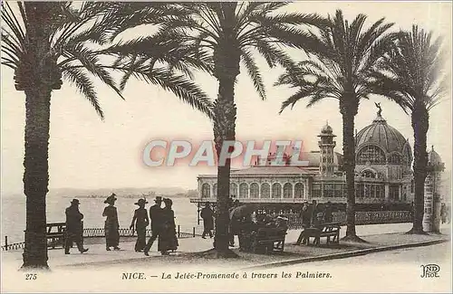 Cartes postales Nice La Jetee Promenade a travers les Palmiers