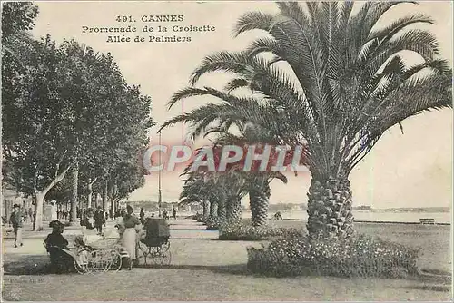 Cartes postales Cannes Promenade de la Croisette Allee de Palmiers