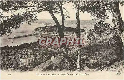 Cartes postales Nice Vue prise du Mont Boron entre les Pins