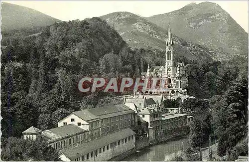 Cartes postales moderne Lourdes La Basilique et le Gave