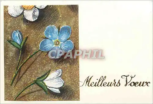 Cartes postales Meilleurs Voeux