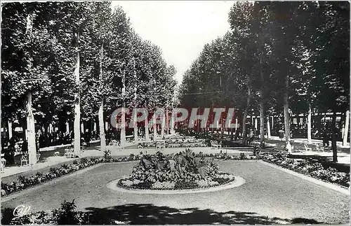 Cartes postales moderne Vichy Parterre fleuri dans le Parc