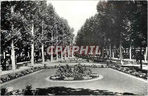 Moderne Karte Vichy Parterre fleuri dans le Parc