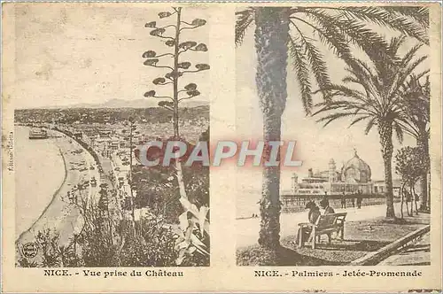 Cartes postales Nice - Vue prise du Chateau Nice - Palmiers - Jetee-Promenade