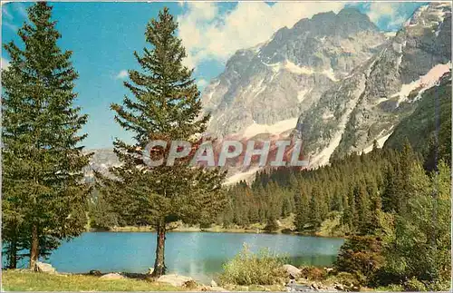 Cartes postales Les Alpes en couleurs naturelles Lac a truites en haute montagne