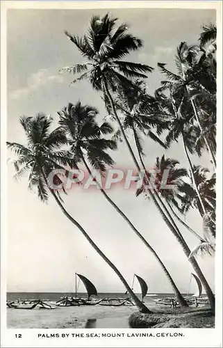 Cartes postales moderne Palms by the Sea Mount Lavinia Ceylon Bateaux
