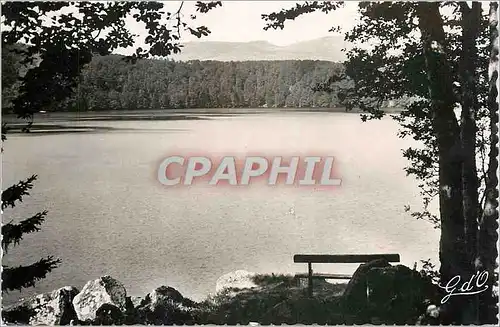 Cartes postales moderne Le Lac Pavin Le plus beau des lacs d'Auvergne