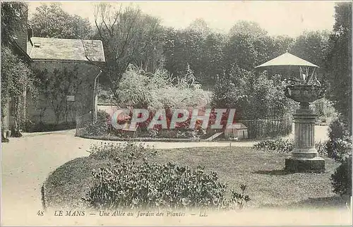 Ansichtskarte AK Le Mans - Une Allee au Jardin des Plantes