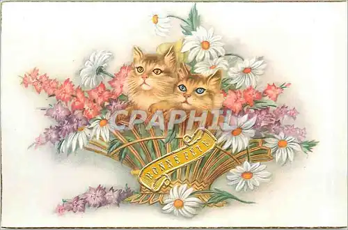 Cartes postales Bonne Fete Chats Chatons
