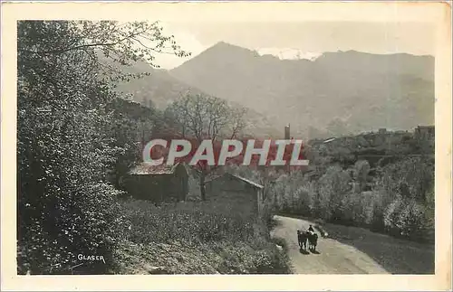 Ansichtskarte AK Vaches Pyrenees