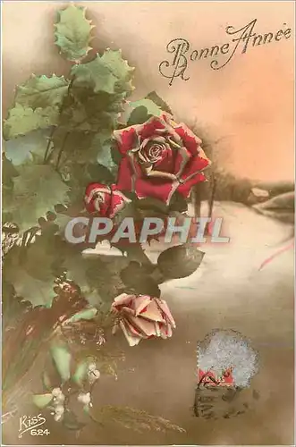 Cartes postales Bonne Annee Fleurs