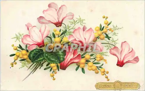 Cartes postales Bonne Annee