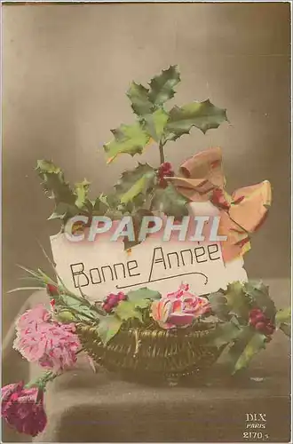 Cartes postales Bonne Annee