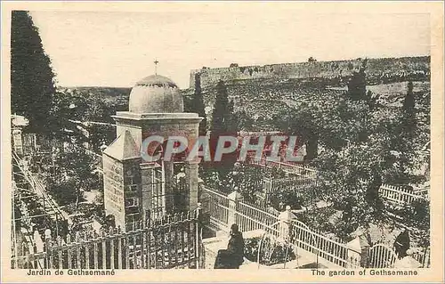 Cartes postales Jardin de Gethsemane