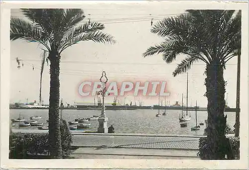 Cartes postales Alicante: Puerto