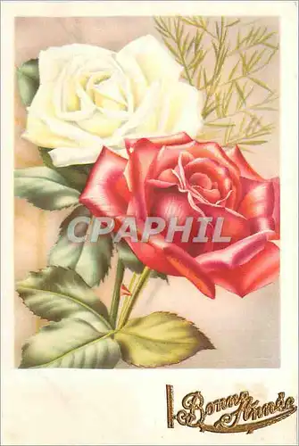 Cartes postales Bonne Annee