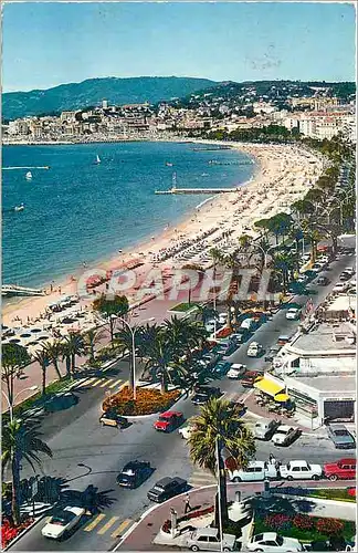 Cartes postales moderne Cannes La Promenade et la Plage de la Croisette