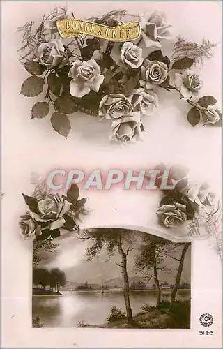 Cartes postales Bonne Annee Fleurs