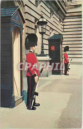 Cartes postales moderne Irish Guards on Sentry Duty at Buckingham Palace London Militaria